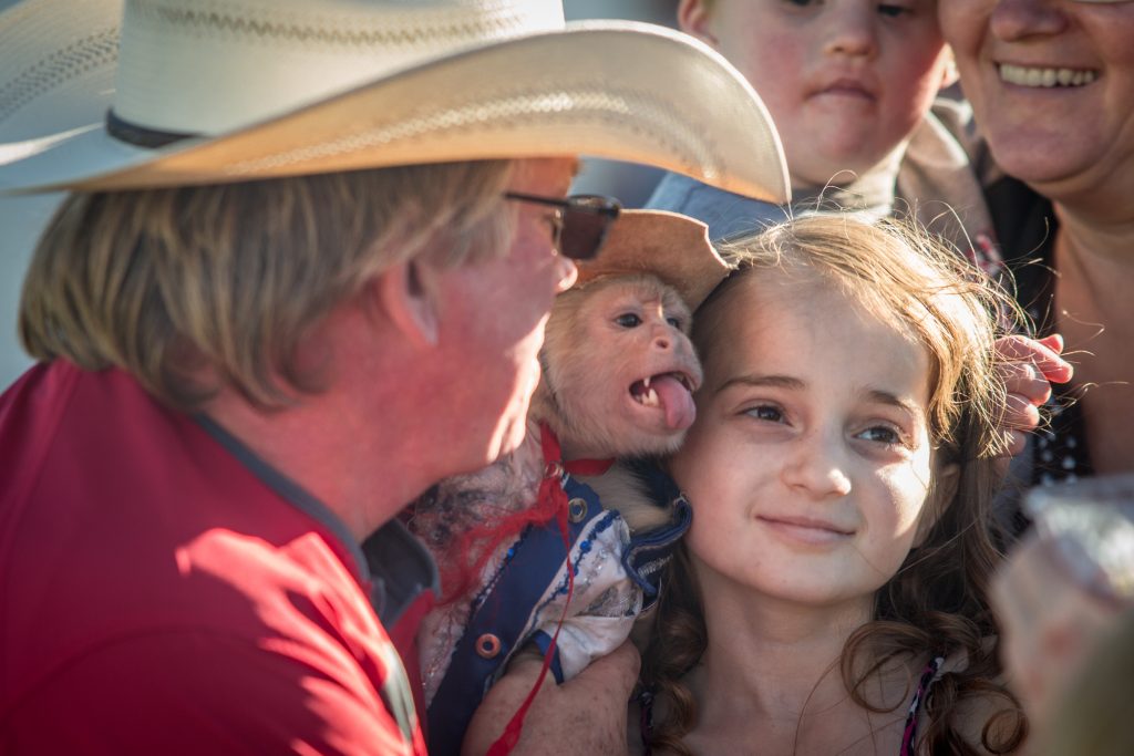 Team Ghost Riders, Monkeys & sheepdogs – where the rodeo arena meets the jungle!